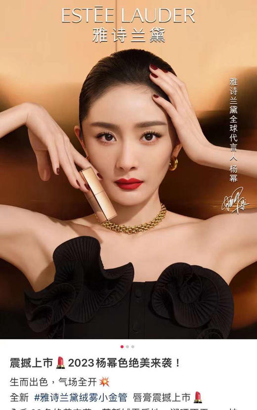 杨幂同色，雅诗兰黛💄口红333色号，经典正装，正装2支！当之无愧最美的干枫叶色口红第一名，333 Persuasive干枫叶色！ 商品图4