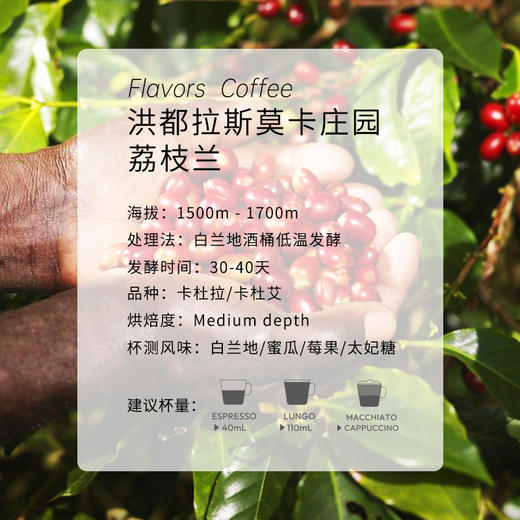【香港制造】白兰地风味胶囊咖啡 商品图1