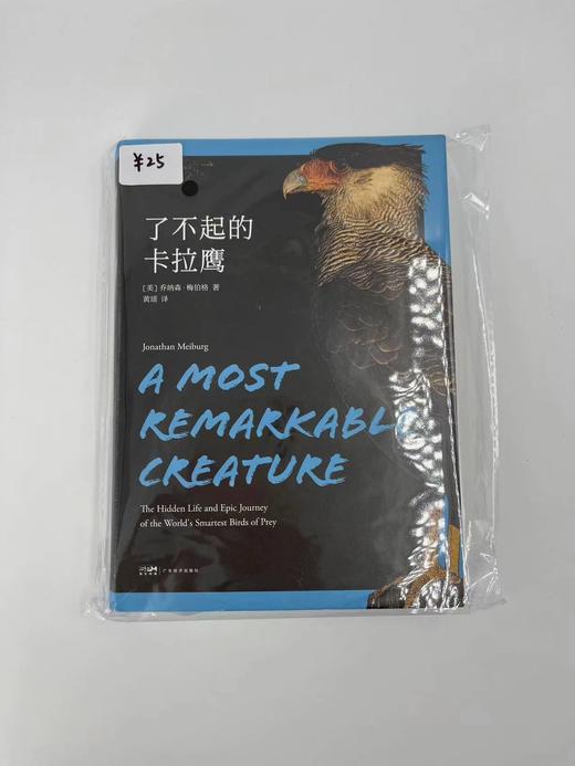 【二手书】了不起的卡拉鹰 商品图0
