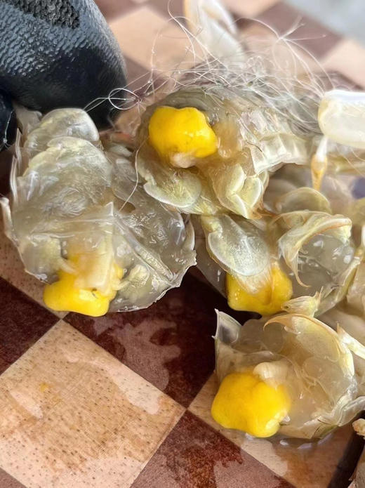 带膏皮皮虾 商品图1