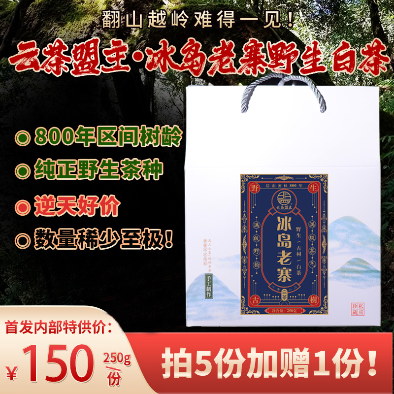 【春茶巨献】2024年头春冰岛老寨野生白茶！老寨后山800年超大野生古树强势来袭！满级野韵，满级茶气，超高香气，滋味强劲到无法自拔！