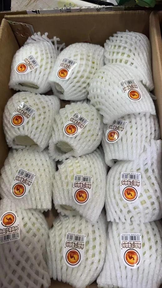 沙漠骆驼香梨一箱 商品图1