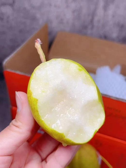 沙漠骆驼香梨一箱 商品图4