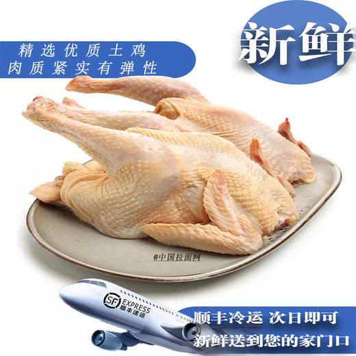 伊玛目宁夏富硒甘草老母鸡清真 绿色有机认证正宗土鸡农家散养柴鸡笨鸡草鸡走地鸡新鲜现宰 顺丰冷链全国发货2只 商品图2