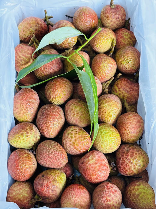 时鲜*待君尝*桂花香荔枝#，口感好核略大，无水干荔枝打包，不泡药，不染色，每年的第一颗荔枝都是它，轻轻桂花香，清甜无涩柔嫩多汁，核略大 商品图3