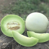 【时令】海南玉菇甜瓜 冰淇淋甜瓜 带箱5斤 商品缩略图8