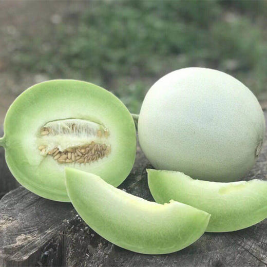 【时令】海南玉菇甜瓜 冰淇淋甜瓜 带箱5斤 商品图8