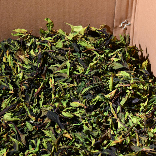 【春茶巨献】2024年头春冰岛老寨野生白茶！老寨后山800年超大野生古树强势来袭！满级野韵，满级茶气，超高香气，滋味强劲到无法自拔！ 商品图1