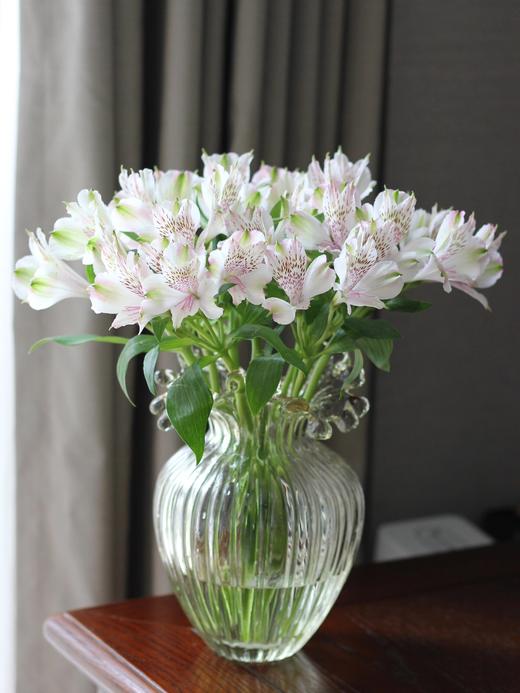 【水仙百合.50份福利价】10支/份 品种随机 商品图2