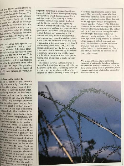 陆地无脊椎动物图解百科全书 数百幅插图 精装16开 商品图11