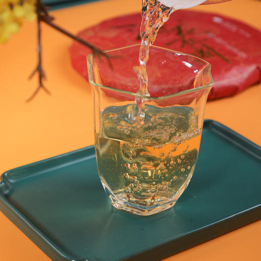 [买7送1]2023《潜龙在渊》刮风寨黑水梁子古树春茶 357克*1饼 生茶 商品图4