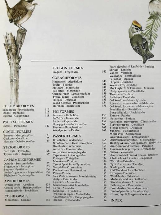 世界鸟类家族 数百幅插图 精装大16开 商品图6