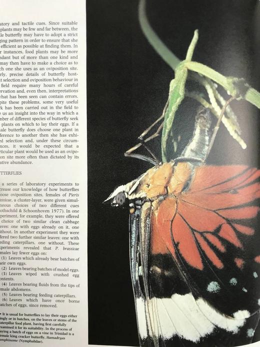 陆地无脊椎动物图解百科全书 数百幅插图 精装16开 商品图9