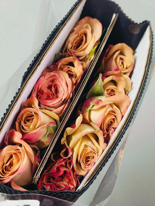 卡布奇诺玫瑰，一束10支 商品图2