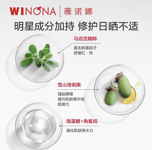 薇诺娜光透皙白隔离日霜50g 商品图2