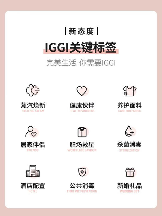 瑞士LAURASTAR家用手持蒸汽电熨斗差旅除菌小型便携式挂烫机IGGI 商品图3