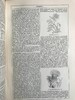 1880年 钱伯斯百科全书（卷1） 数百幅版画插图 真皮精装16开 商品缩略图7
