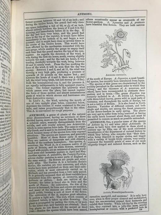 1880年 钱伯斯百科全书（卷1） 数百幅版画插图 真皮精装16开 商品图7