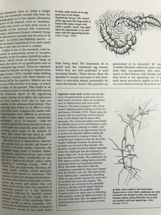 陆地无脊椎动物图解百科全书 数百幅插图 精装16开 商品图14