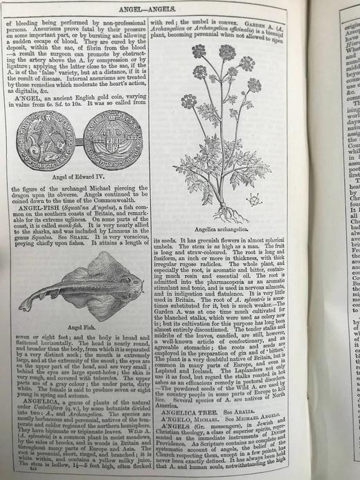 1880年 钱伯斯百科全书（卷1） 数百幅版画插图 真皮精装16开 商品图5