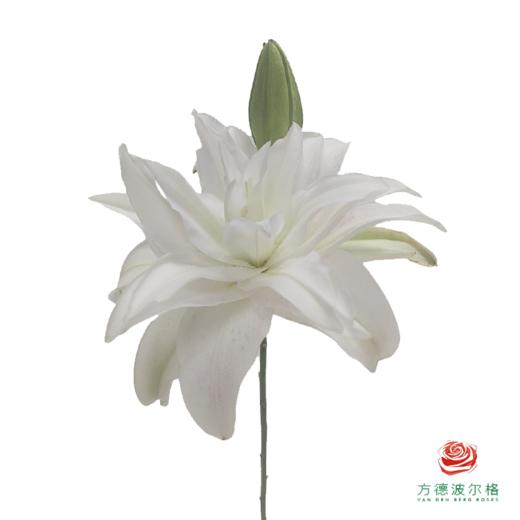 百合-粉嘟嘟三头 5枝一扎-有香味 商品图2