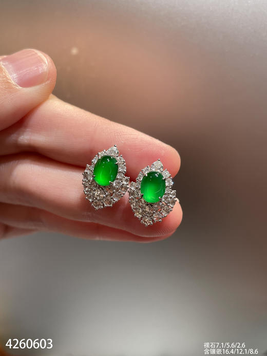 4260603，老坑玻璃帝王绿蛋面耳钉。具体价格微信咨询 商品图0