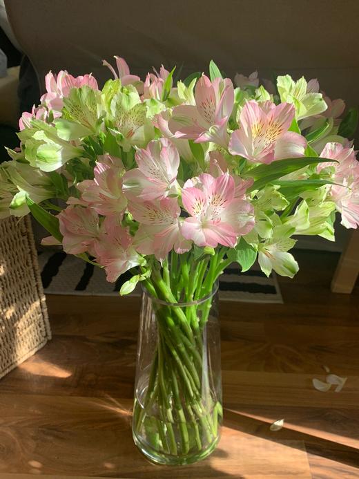 【水仙百合.50份福利价】10支/份 品种随机 商品图3