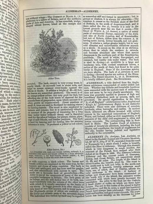 1880年 钱伯斯百科全书（卷1） 数百幅版画插图 真皮精装16开 商品图14