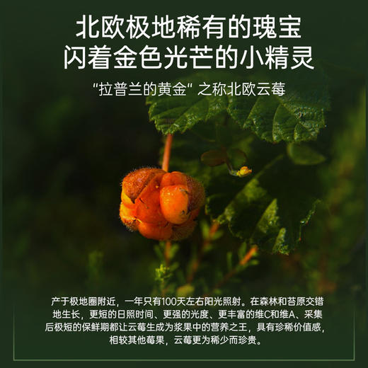 【3盒】瑞斯美北欧云莓保湿面膜28g*6片【限时加赠一盒，到手4盒】 商品图3