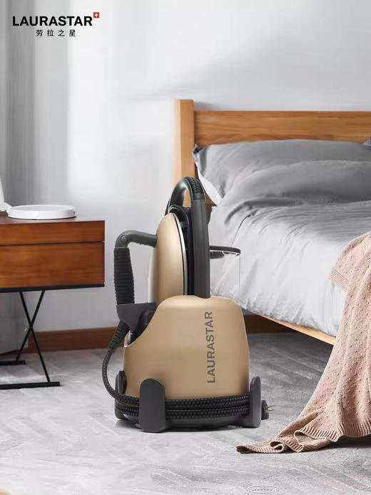 瑞士LAURASTAR LIFT XTRA原装进口家用蒸汽小型挂烫机 熨烫机熨斗 商品图3