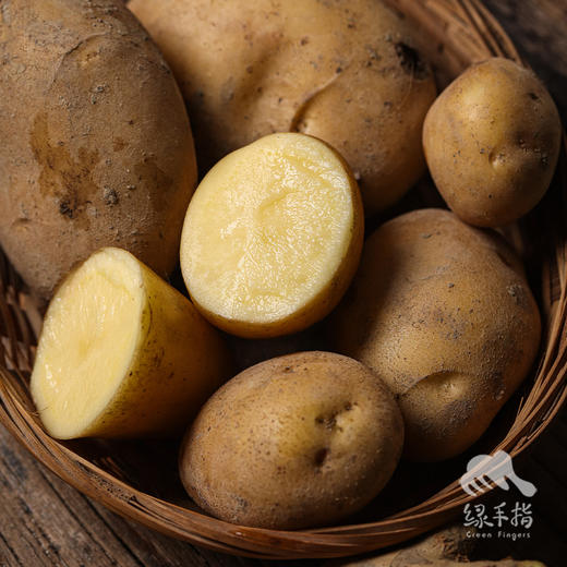 生态土豆（广州）| 合作生产 * Eco-potato | Coproduction 商品图3