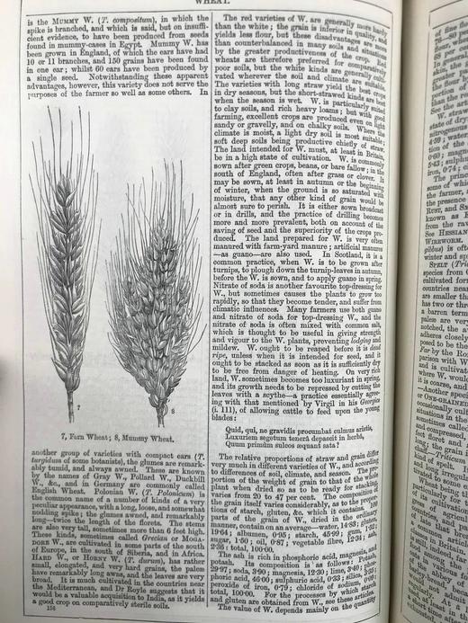 1880年 钱伯斯百科全书（卷10） 数百幅版画插图 真皮精装16开 商品图8