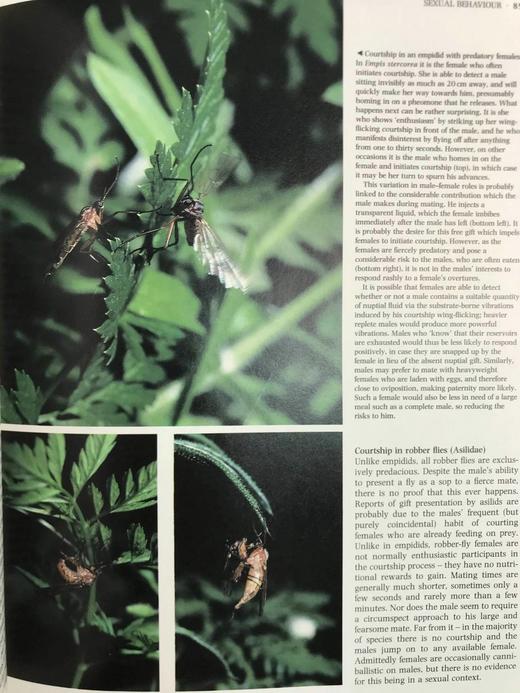 陆地无脊椎动物图解百科全书 数百幅插图 精装16开 商品图13