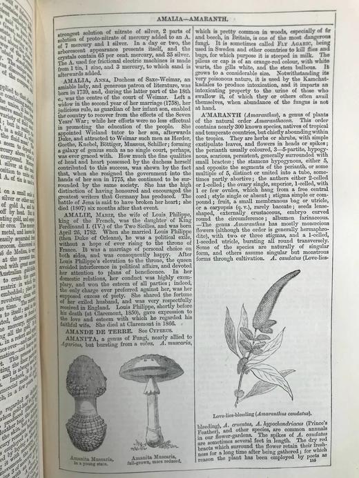 1880年 钱伯斯百科全书（卷1） 数百幅版画插图 真皮精装16开 商品图10