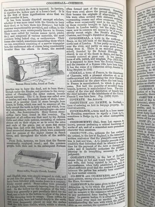 1880年 钱伯斯百科全书（卷3） 数百幅版画插图 真皮精装16开 商品图6