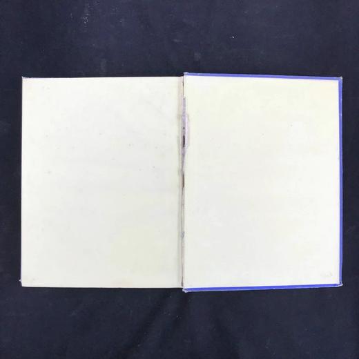 约19世纪后期 威尔逊的边境故事集（卷4） 配多幅精美插图 漆布精装大16开 商品图3