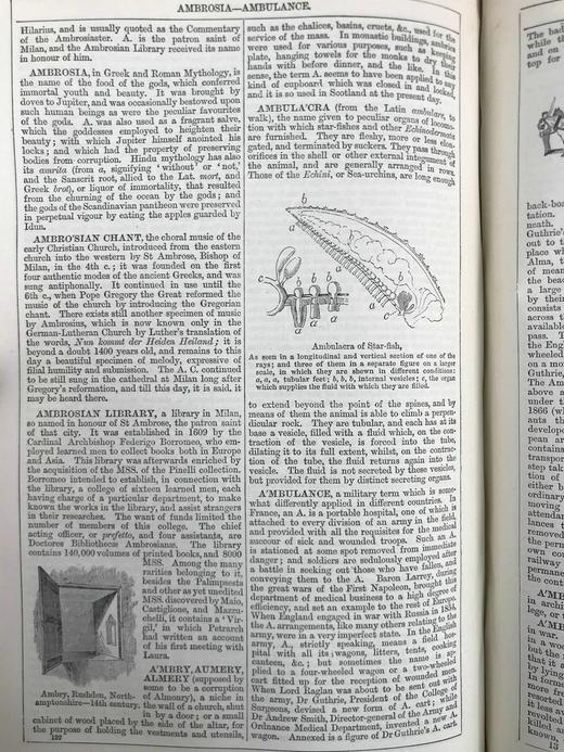 1880年 钱伯斯百科全书（卷1） 数百幅版画插图 真皮精装16开 商品图8