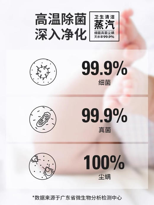 瑞士LAURASTAR家用手持蒸汽电熨斗差旅除菌小型便携式挂烫机IGGI 商品图1