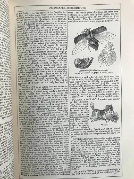 1880年 钱伯斯百科全书（卷3） 数百幅版画插图 真皮精装16开 商品图8