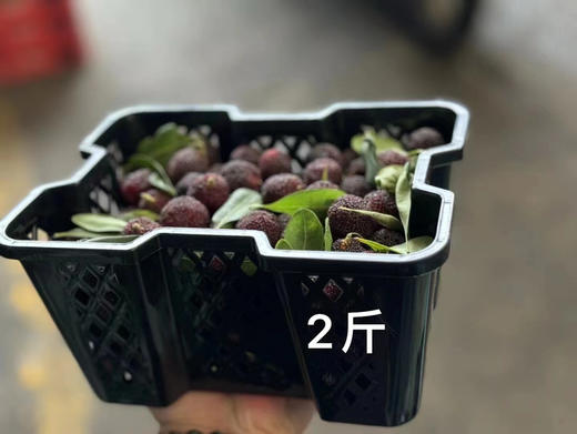 预售，周日配送，云南杨梅没有🐛，第一口鲜！有机春梅*每日空运新鲜少量＃鲜是鲜的嘞～早梅不大的哦！拒绝甜蜜素，九分甜来一分酸，一年一次尝鲜啦！ 商品图6
