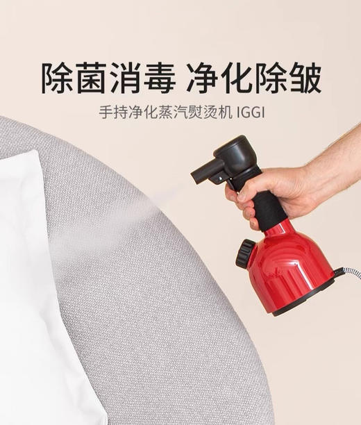 瑞士LAURASTAR家用手持蒸汽电熨斗差旅除菌小型便携式挂烫机IGGI 商品图0
