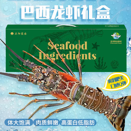 【野生海产】龙虾1000±100g【礼盒】大西洋纯净海域 商品图1