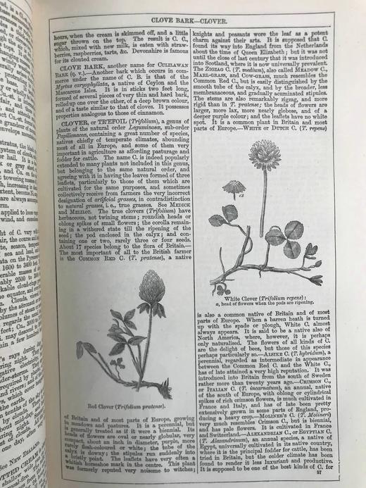 1880年 钱伯斯百科全书（卷3） 数百幅版画插图 真皮精装16开 商品图11