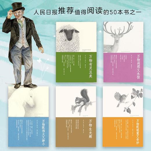 万物有灵且美系列经典小说：豆瓣剧王9.4分英剧《万物生灵》原著小说，畅销千万册的温暖爆笑动物故事（英）吉米·哈利 著 商品图8