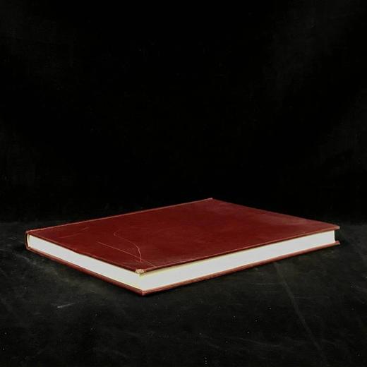 世界鸟类家族 数百幅插图 精装大16开 商品图1