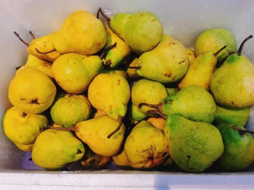 特价大头梨二斤 商品图0