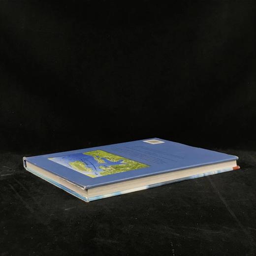 二战时期的伟大战役 250余幅插图 精装大16开 商品图2