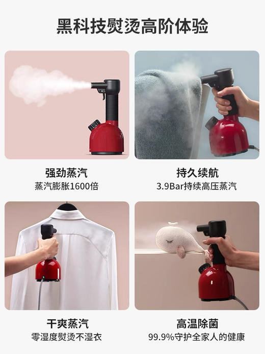 瑞士LAURASTAR家用手持蒸汽电熨斗差旅除菌小型便携式挂烫机IGGI 商品图2