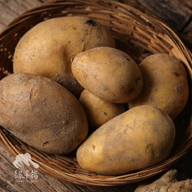 生态土豆（广州）| 合作生产 * Eco-potato | Coproduction