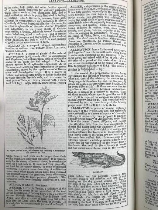 1880年 钱伯斯百科全书（卷1） 数百幅版画插图 真皮精装16开 商品图13